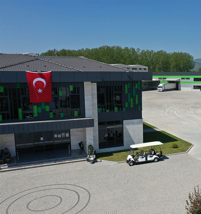 Fındık üretimi